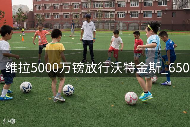 维拉5000万镑放行沃特金斯 6500万镑锁定切尔西锋将杰克逊
